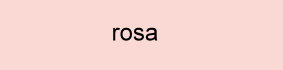 Farbe_rosa_CdR59ef9833304cc