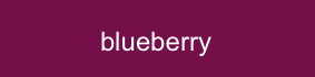 farbe_blueberry2_fiore.jpg